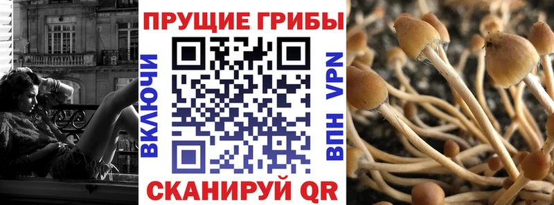 Галлюциногенные грибы GOLDEN TEACHER  Коломна 